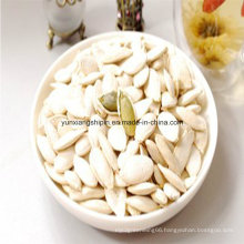 Snow White Pumpkin Seeds with Lower Price and High Quality